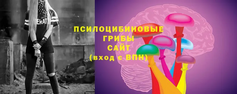 МЕГА вход  Курильск  Псилоцибиновые грибы Psilocybine cubensis 